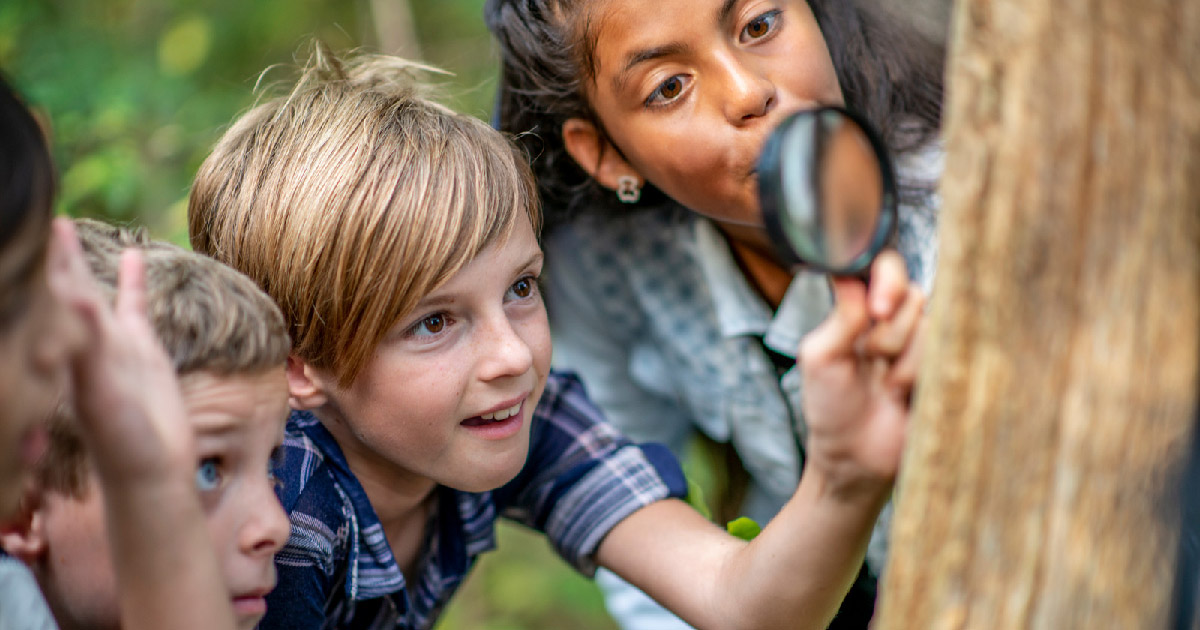 Nature Scavenger Hunt For Your Next Camping Trip